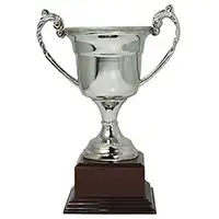 Trident Cup 17cm