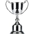 Classic Pewter Cup 10in