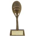 Wooden Spoon Awards