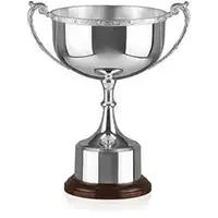 Celtic Mounted Cup Trophy 9.5in