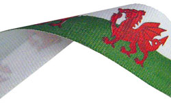 Wales Flag Medal Ribbon 69p