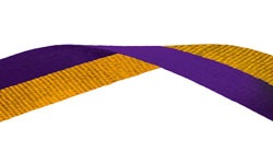 Purple & Gold Medal Ribbon 49p