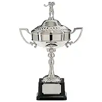 Sterling nickel plated Ryder Cup Replica