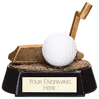 Fairway Golf Putter Award 100mm