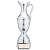 Silver Champions Claret Jug 250mm - view 1