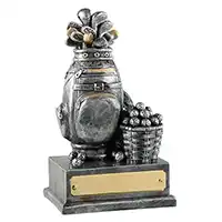 Silver Gold Resin Golf Bag Trophy 15cm