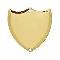 Gold Side Shield 1 inch