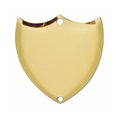 Gold Side Shield 1 inch